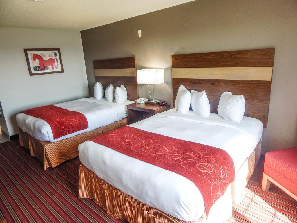 Country Inn & Suites By Radisson, Dfw Airport South, Tx Irving Extérieur photo