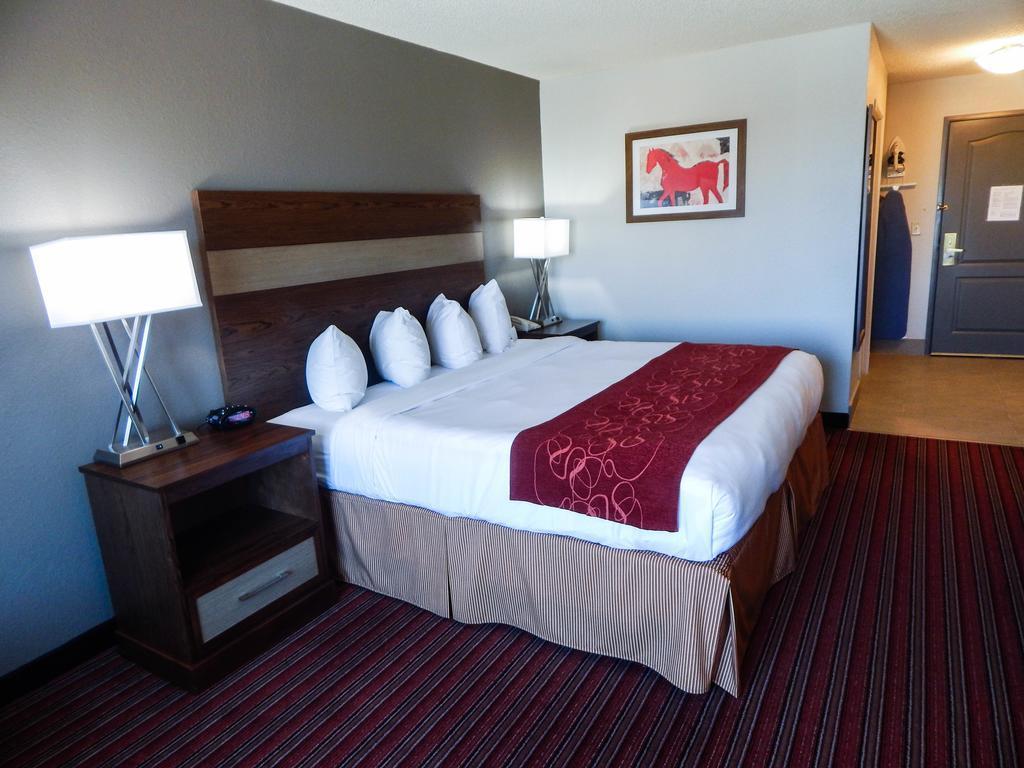 Country Inn & Suites By Radisson, Dfw Airport South, Tx Irving Extérieur photo